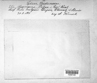 Uromyces betae image